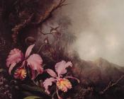 马丁约翰逊赫德 - Two Orchids in a mountain Landscape